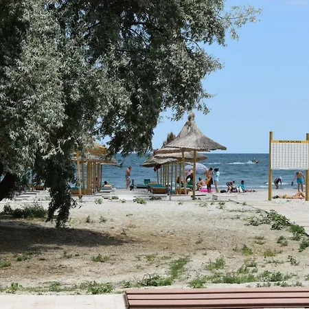 Willow By The Sea 28 *